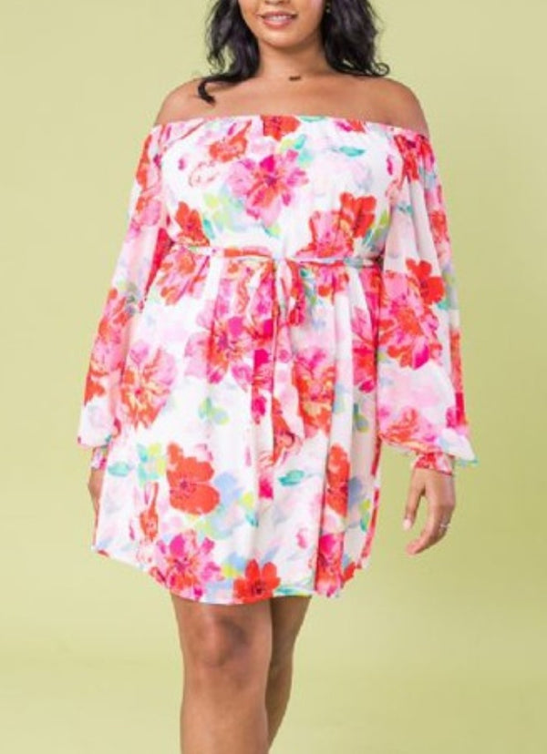 Plus Size Off shoulder Dress